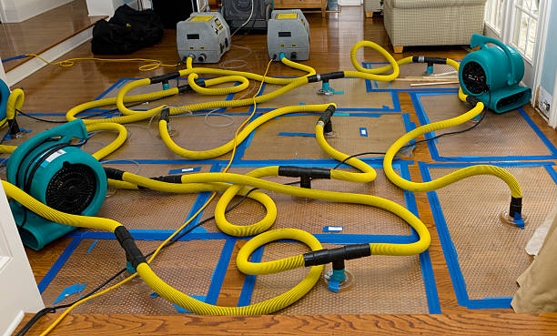 Professional Emergency Water Removal technician working in Woodbine, GA